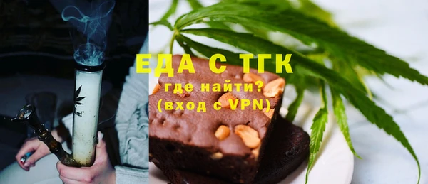 шишки Ельня