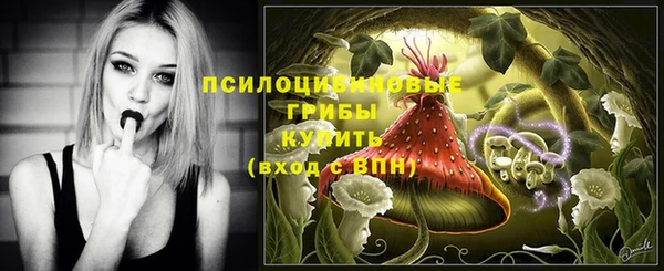 гидра Валдай