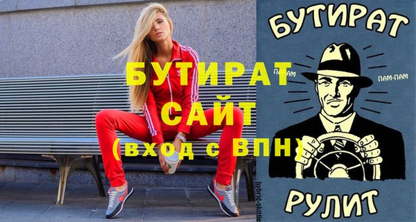 шишки Ельня