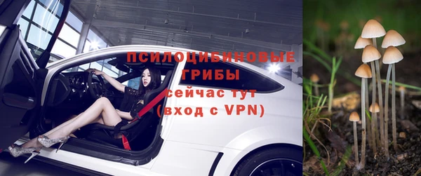 гидра Валдай