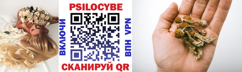 Псилоцибиновые грибы Psilocybe  Кондопога 