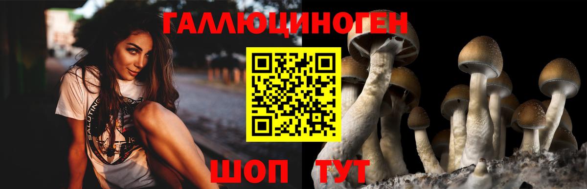Псилоцибиновые грибы MAGIC MUSHROOMS  Кондопога  Псилоцибиновые грибы Psilocybe 