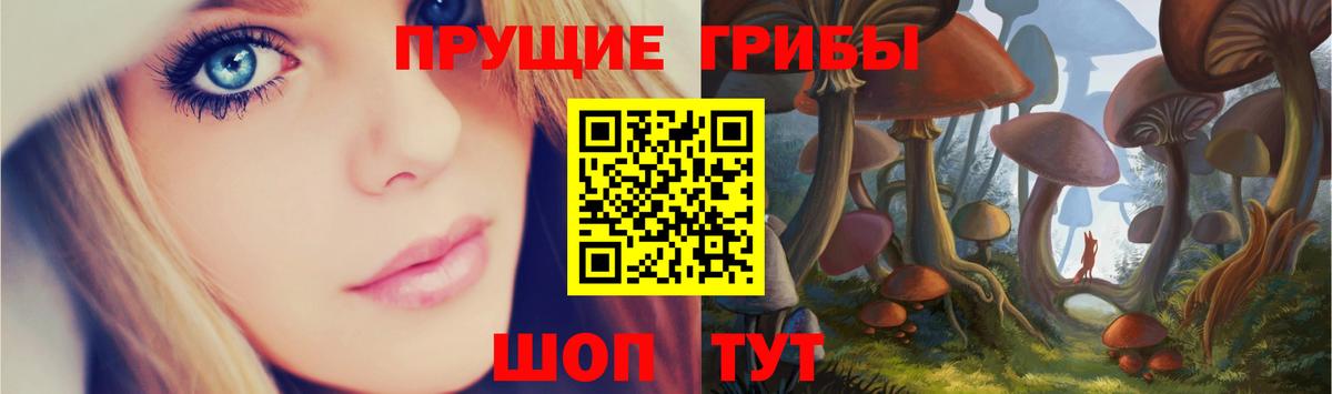 Галлюциногенные грибы Psilocybe Кондопога