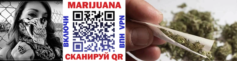 Бошки Шишки конопля  где найти   Кондопога 